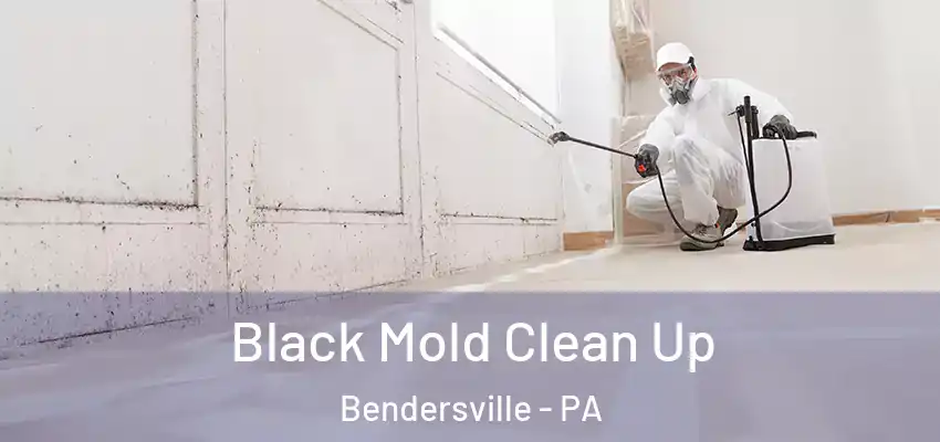 Black Mold Clean Up Bendersville - PA
