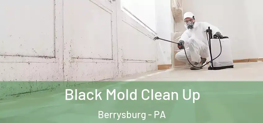  Black Mold Clean Up Berrysburg - PA