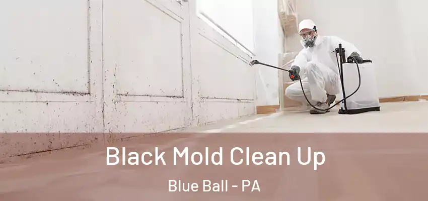 Black Mold Clean Up Blue Ball - PA