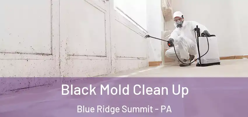 Black Mold Clean Up Blue Ridge Summit - PA