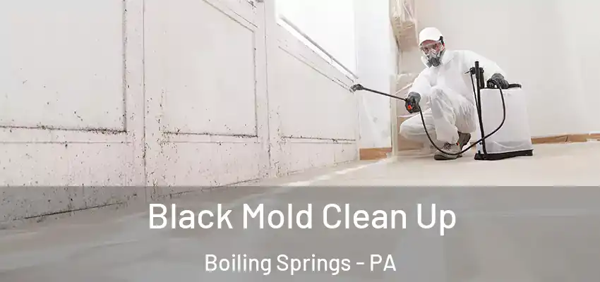 Black Mold Clean Up Boiling Springs - PA
