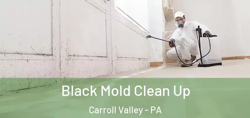 Black Mold Clean Up Carroll Valley - PA