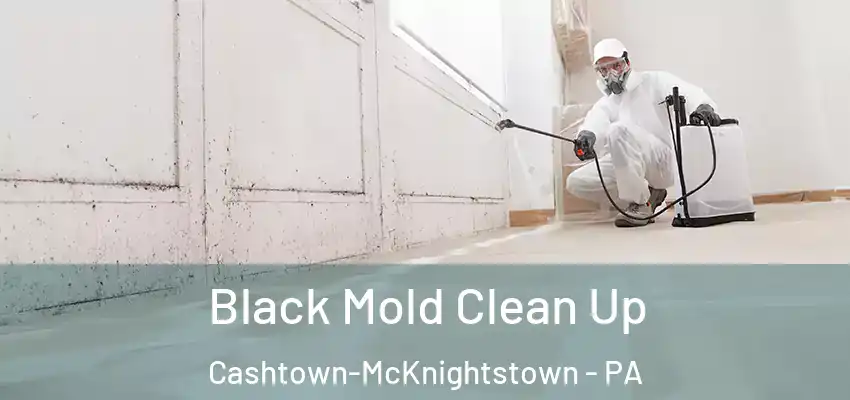  Black Mold Clean Up Cashtown-McKnightstown - PA