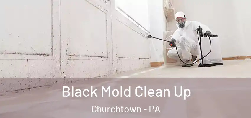 Black Mold Clean Up Churchtown - PA