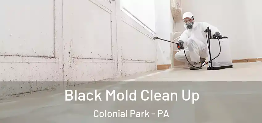 Black Mold Clean Up Colonial Park - PA
