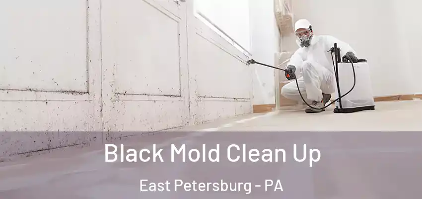 Black Mold Clean Up East Petersburg - PA
