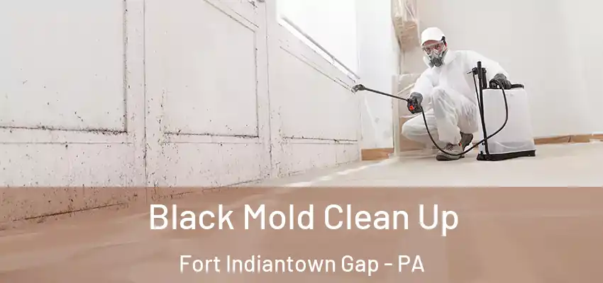  Black Mold Clean Up Fort Indiantown Gap - PA