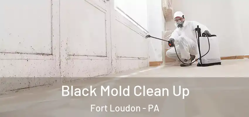 Black Mold Clean Up Fort Loudon - PA