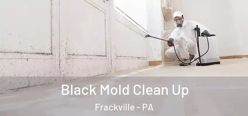  Black Mold Clean Up Frackville - PA
