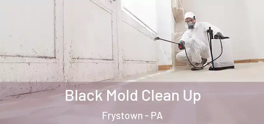  Black Mold Clean Up Frystown - PA