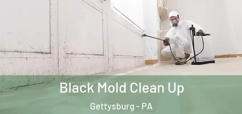 Black Mold Clean Up Gettysburg - PA