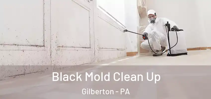  Black Mold Clean Up Gilberton - PA