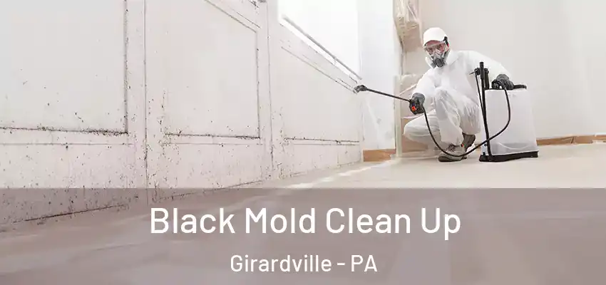 Black Mold Clean Up Girardville - PA