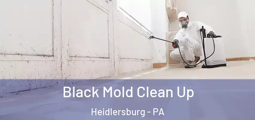  Black Mold Clean Up Heidlersburg - PA