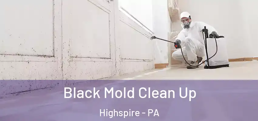 Black Mold Clean Up Highspire - PA