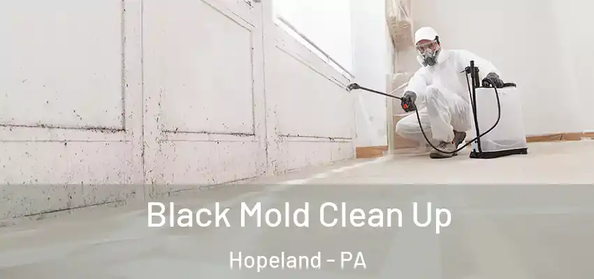 Black Mold Clean Up Hopeland - PA
