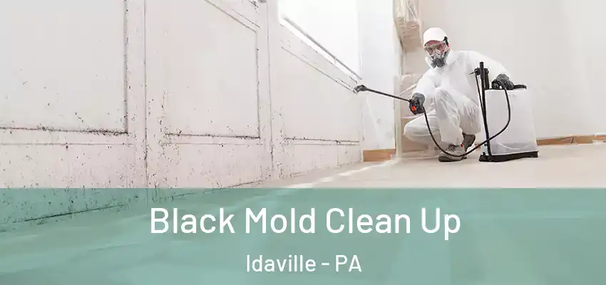 Black Mold Clean Up Idaville - PA