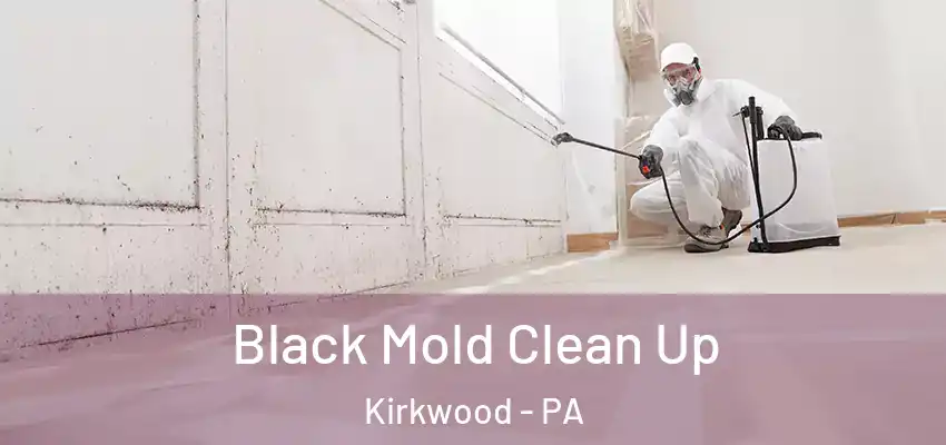 Black Mold Clean Up Kirkwood - PA