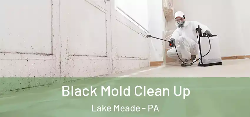  Black Mold Clean Up Lake Meade - PA