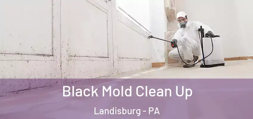 Black Mold Clean Up Landisburg - PA