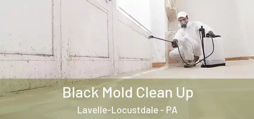 Black Mold Clean Up Lavelle-Locustdale - PA