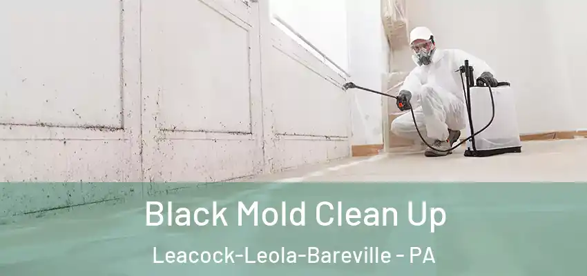  Black Mold Clean Up Leacock-Leola-Bareville - PA