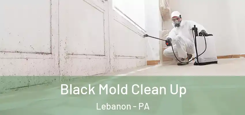  Black Mold Clean Up Lebanon - PA