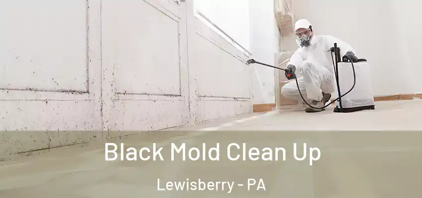 Black Mold Clean Up Lewisberry - PA