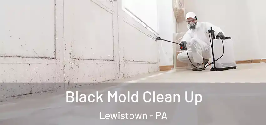 Black Mold Clean Up Lewistown - PA