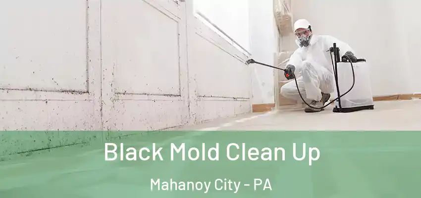 Black Mold Clean Up Mahanoy City - PA