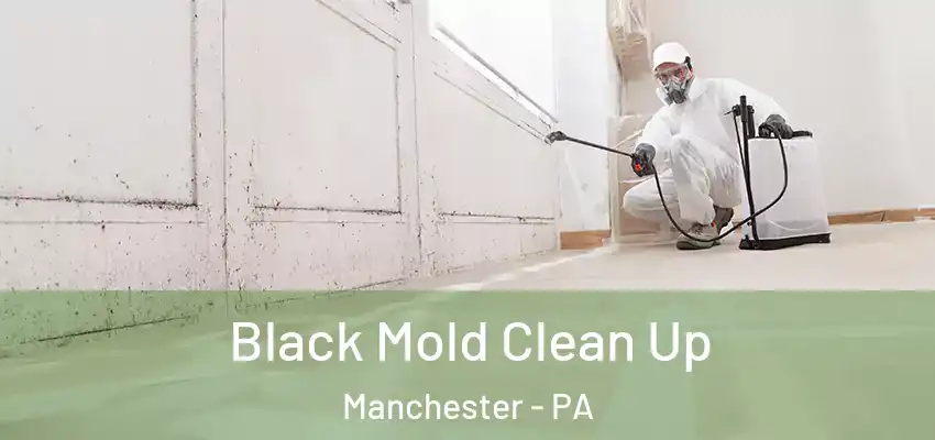 Black Mold Clean Up Manchester - PA
