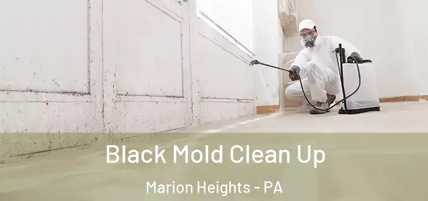  Black Mold Clean Up Marion Heights - PA
