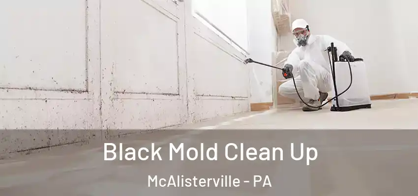  Black Mold Clean Up McAlisterville - PA