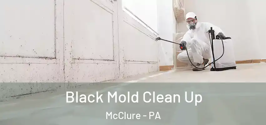 Black Mold Clean Up McClure - PA