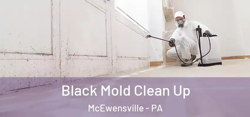  Black Mold Clean Up McEwensville - PA