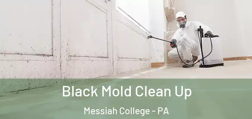  Black Mold Clean Up Messiah College - PA