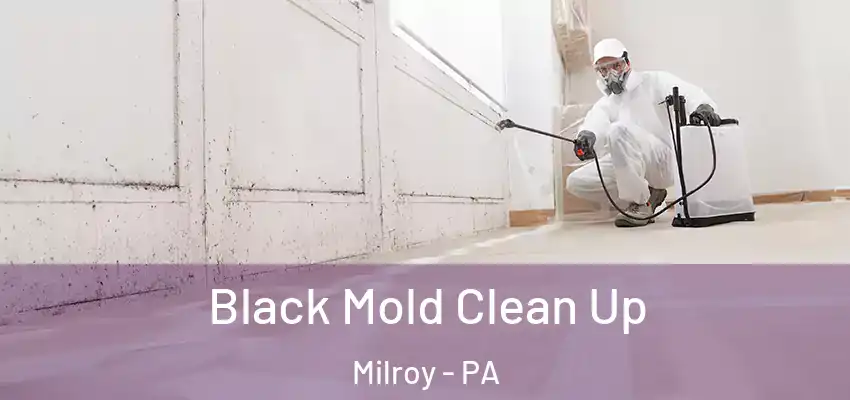 Black Mold Clean Up Milroy - PA