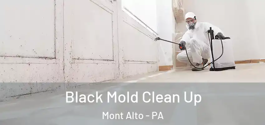  Black Mold Clean Up Mont Alto - PA