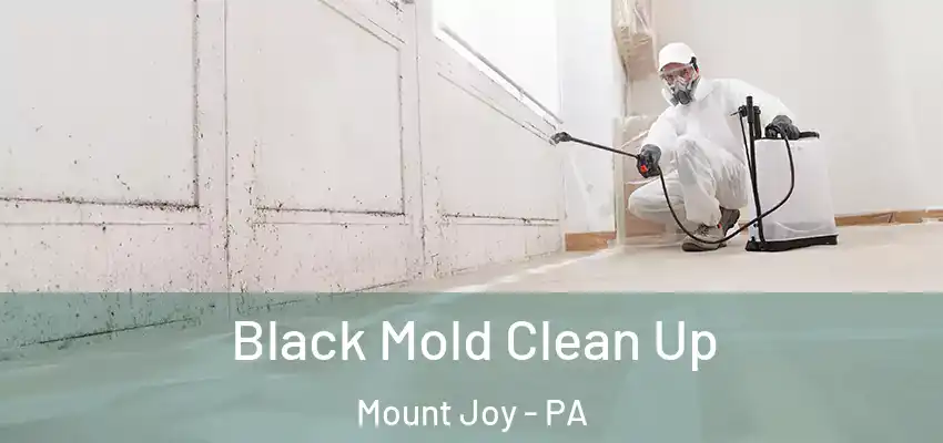  Black Mold Clean Up Mount Joy - PA