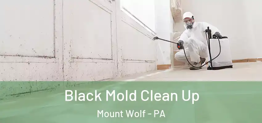 Black Mold Clean Up Mount Wolf - PA
