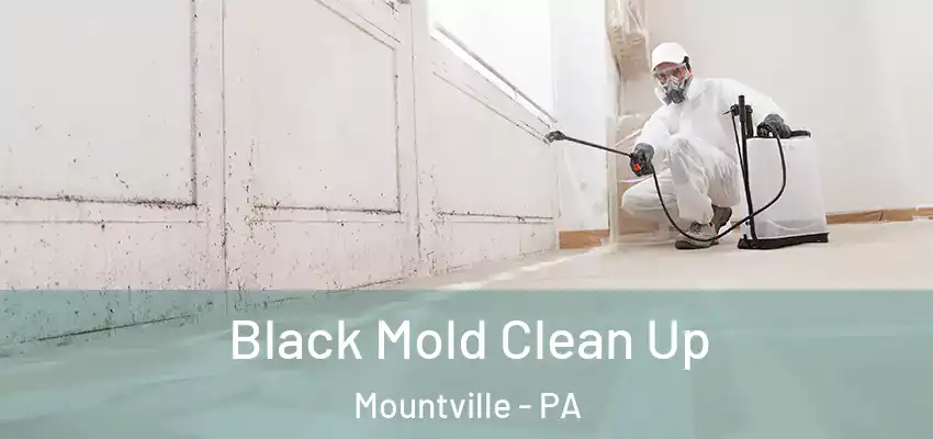  Black Mold Clean Up Mountville - PA