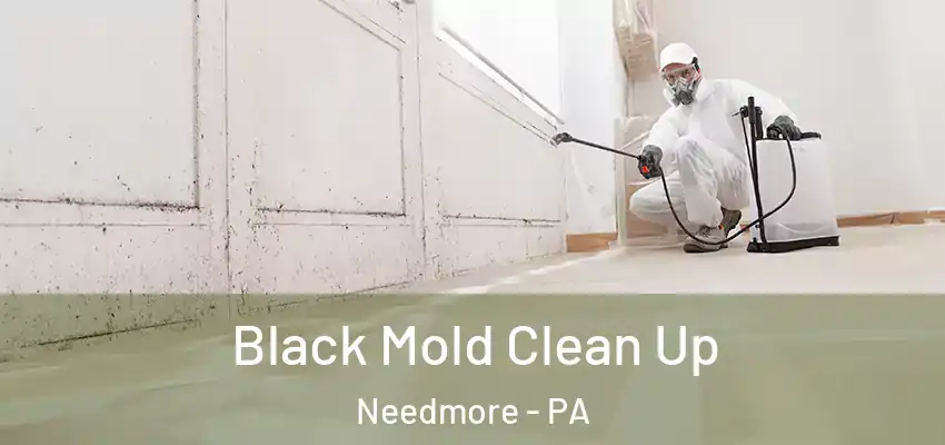  Black Mold Clean Up Needmore - PA