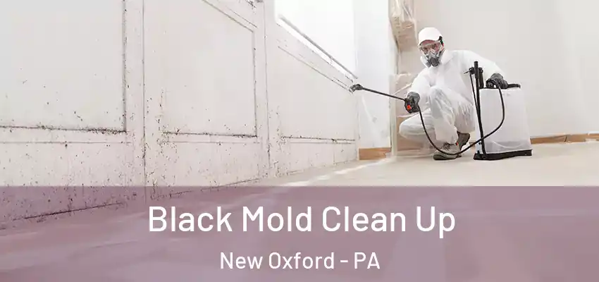  Black Mold Clean Up New Oxford - PA