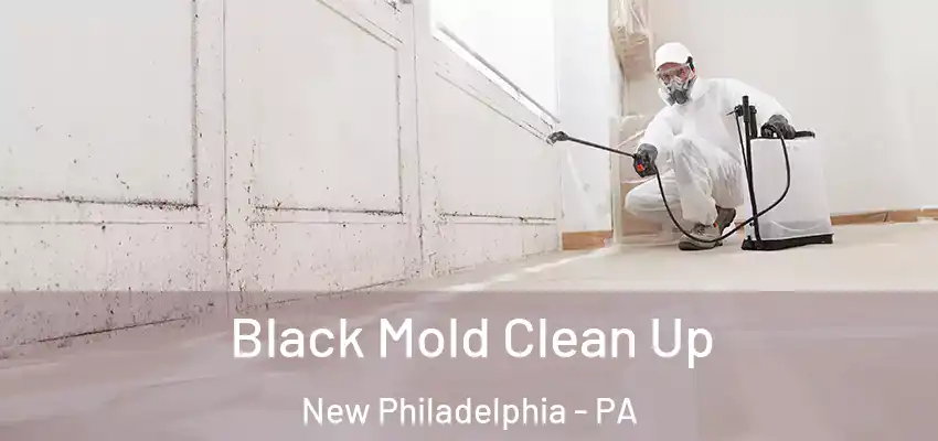 Black Mold Clean Up New Philadelphia - PA