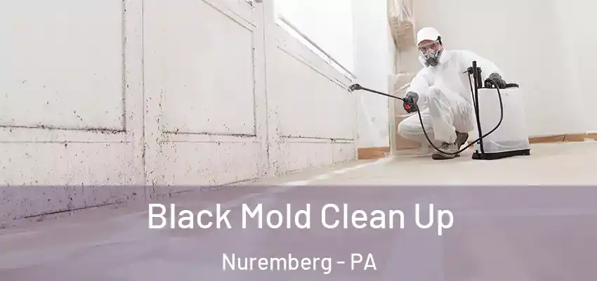  Black Mold Clean Up Nuremberg - PA
