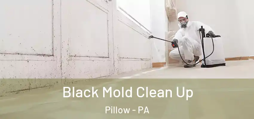  Black Mold Clean Up Pillow - PA