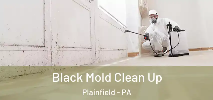  Black Mold Clean Up Plainfield - PA