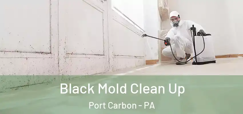  Black Mold Clean Up Port Carbon - PA