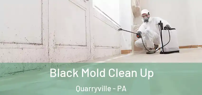 Black Mold Clean Up Quarryville - PA