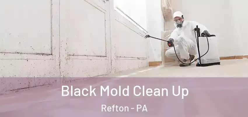  Black Mold Clean Up Refton - PA